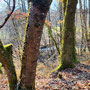 04.03.2026 Nauroder Kreuz-Rambach - P2: Am Salzbach entlang in Richtung Rambach.