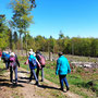 22.04.2026 Rundweg Siedlung Wildpark (über Hohe Kanzel) - P1: Viel Kahlschlag auf den letzten Metern vor dem Schuhbaum.