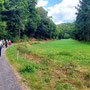 16.07.2025 Rundweg Parkplatz Saubrücke - Hirschkäferweg - P1: Auf dem langen Weg durch das Kesselbachtal zurück zum Parkplatz Saubrücke.