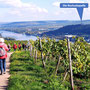 01.10.2025 Niederwalddenkmal-Rüdesheim - P1: Unterwegs durch die Weinberge. Im Hintergrund die Rochuskapelle.