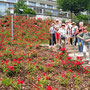 25.06.2025 Bad Schwalbach - Rundweg Kurpark - P2: Gruppenfoto am Rosenhang vor dem ehemaligen Kurhotel (jetzt Eden Parc).