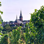06.08.2025 Kiedrich (Stassen) Rundwanderweg - P1: Nochmal ein separater Blick auf die Basilika St. Valentin.