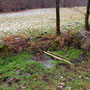 15.01.2025 Rundweg Zugmantel bei Orlen - P1/P2: Die Aarquelle.