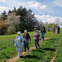 15.04.2026 Wallrabenstein - P3: Auf einem Wiesenweg zurück Richtung Parkplatz.