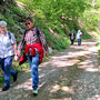 29.04.2026 Parkbucht hinter Neuweilnau-Rod an der Weil - P2: Der Rest der Gruppe mit Wanderführerin Ingrid auf dem Taunus-Schinderhannespfad im Weiltal nach Rod an der Weil.
