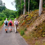 25.06.2025 Bad Schwalbach - Rundweg Kurpark - P1: Auf dem Weg zum Waldsee.