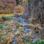 19.02.25 Rundweg Idstein Cunoweg (über Niederseelbach) - P1: Schönes Landschaftsbild im Wörsbachtal.