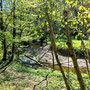 29.04.2026 Riedelbach-Rod an der Weil - P1: Die Weil im Weiltal.