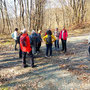 18.03.2026 K514 hinter Dombach-Eichelbacher Hof-Vogelburg-Hasselbach - P1: Kurze Verschnaufpause.