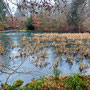 15.01.2025 Rundweg Zugmantel bei Orlen - P1/P2: Ein zweiter zugefrorener Weiher.