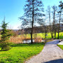 18.03.2026 Parkplatz Kuhbett-Eichelbacher Hof-Vogelburg-Hasselbach - P2: Kleiner Teich am Ortsrand von Hasselbach.