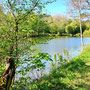 29.04.2026 Riedelbach-Rod an der Weil - P1: Der Schnepfenbachweiher.