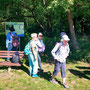 14.05.2025 Burgschwalbach-Hahnstätten - P1: An der Einmündung zum Johannisbrunnen Burgschwalbach.