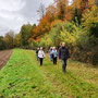 22.10.2025 Rundwanderweg Ober-Niederrod - P3: Auf dem Buchfinkenland-Rundwanderweg in Richtung Niederrod.