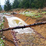 15.01.2025 Rundweg Zugmantel bei Orlen - P2: Ein schwieriger "Steg" über den Graben.