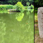 25.06.2025 Bad Schwalbach - Rundweg Kurpark - P1: Der Waldsee.