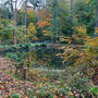 15.10.2025 Radweg an der L3031 (hinter Beuerbach)-Dauborn (über Gnadenthal): Ein Weiher an der Wegkreuzung Ohren/Gnadenthal.
