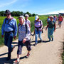 14.05.2025 Burgschwalbach-Hahnstätten - P1: Auf dem Weg um Burgschwalbach herum.