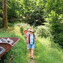 25.06.2025 Bad Schwalbach - Rundweg Kurpark - P2: Auf dem Übergang zwischen zwei Moorgruben.