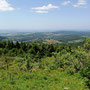 11.06.2025 Rundweg Großer Feldberg - P2: Herrlicher Ausblick auf Oberreifenberg mit der Burg.