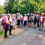 06.08.2025 Kiedrich (Stassen) Rundwanderweg - P1: Der Pfad mündet in einen breiten asphaltierten Weg, wo wir eine kurze Pause einlegen.
