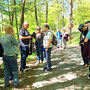 29.04.2026 Parkbucht hinter Neuweilnau-Rod an der Weil - P2: Kurze Pause an einer Wegegabelung hinter dem Haus Waldeck.