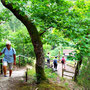 25.06.2025 Bad Schwalbach - Rundweg Kurpark - P1: Der Aussichtsplatz Mathilden-Ruh.