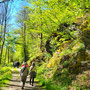 29.04.2026 Parkbucht hinter Neuweilnau-Rod an der Weil - P2: Auf dem Taunus-Schinderhannespfad zwischen Weil und Felsen nach Rod an der Weil.