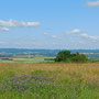 20.08.2025 Runde Mensfelder Kopf - P2: Herrliche Aussicht über das Limburger Becken.