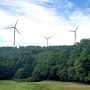 30.07.2025 Rundweg Riedelbach - P1: Blick über die Dombachwiesen Riedelbach auf drei Windräder des Windparks Weilrod.