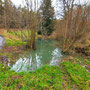 29.01.2025 Rundweg Parkplatz Eisersbach B417 - P1: An einem Wasserloch vorbei hinauf zum Hirschwinkel.