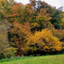 15.10.2025 Radweg an der L3031 (hinter Beuerbach)-Dauborn (über Gnadenthal): Herbstliche Farben im Wörsbachtal.