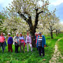 16.04.2025 L3441 hinter Georgenborn-Frauenstein - P2: Gruppenfoto vor blühenden Kirschbäumen vor Frauenstein.