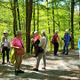29.04.2026 Parkbucht hinter Neuweilnau-Rod an der Weil - P2: Kurze Pause an einer Wegegabelung hinter dem Haus Waldeck.