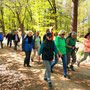 22.04.2026 Rundweg Siedlung Wildpark (über Hohe Kanzel) - P1: Auf einem breiten Waldweg unterwegs zum Schuhbaum.