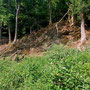 18.06.2025 Rundweg Oberauroff-Ehrenbach-Niederauroff-Oberauroff - P1: Auch hier Felsen am Wegesrand.