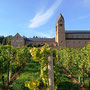 01.10.2025 Niederwalddenkmal-Rüdesheim - P2: Blick zurück auf das Kloster Hildegardis.