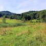 06.08.2025 Kiedrich (Stassen) Rundwanderweg - P1: Herrlicher Blick in die Umgebung.
