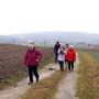 05.02.2025 Panrod-Wallrabenstein - P1: Blick zurück auf Panrod.