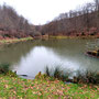 08.01.2025 Rundweg Bad Camberg (über Alsdorfer Weiher) - P1: Blick über den Alsdorfer Weiher.