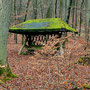 26.02.2025 Rundweg Heftricher Moor - P1: Vorbei an einer stark bemoosten Futterkrippe.