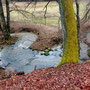 26.02.2025 Rundweg Heftricher Moor - P1: Auch der Dattenbach führt sehr viel Wasser.
