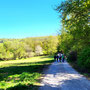 22.04.2026 Rundweg Siedlung Wildpark (über Hohe Kanzel) - P2: Auf dem unteren Teil des Bembelwegs zurück zum Parkplatz, "verfolgt" vom P1.
