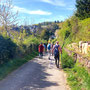 08.04.2026 Schloss Wi-Freudenberg-Frauenstein - P1: Kurz vor Frauenstein.