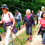 21.05.2025 Rundweg Theißtal - P1: Auf dem langgezogenen Aufstieg hinauf zum Kellerskopfweg.