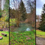 29.01.2025 Rundweg Parkplatz Eisersbach B417 - P1: Impressionen an der Wanderstrecke.