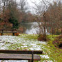 15.01.2025 Rundweg Zugmantel bei Orlen - P1/P2: Ein winterlicher Weiher am Wegesrand.
