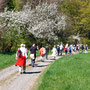 29.04.2026 Riedelbach-Rod an der Weil - P1: Im Schnepfenbachtal, vorbei an blühenden Apfelbäumen, kurz vor dem Schnepfenbachweiher.