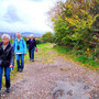 22.10.2025 Buchfinkenland-Rundwanderweg Oberrod - P2: Zurück in Oberrod.
