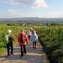 01.10.2025 Niederwalddenkmal-Rüdesheim - P2: Auf den letzten Metern hinunter zum Ziel, dem Weingut Magdalenenhof.